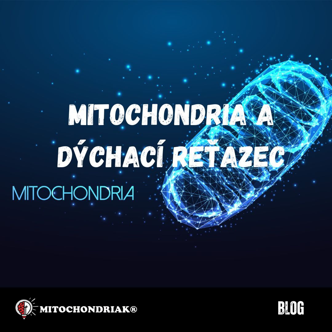 CZ Mitochondrie, dýchací řetězec, tvorba ATP, tvorba deuteria zbavené vody Blog EasyLight Mitochondriak